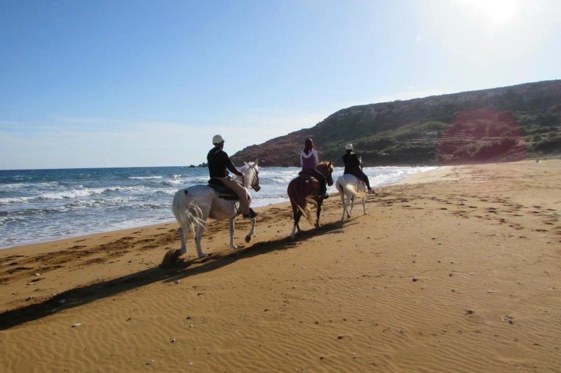 Lino's Stables