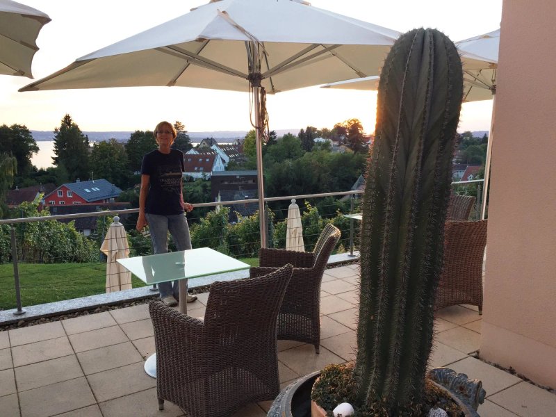 Hotel Villa Seeschau am Bodensee