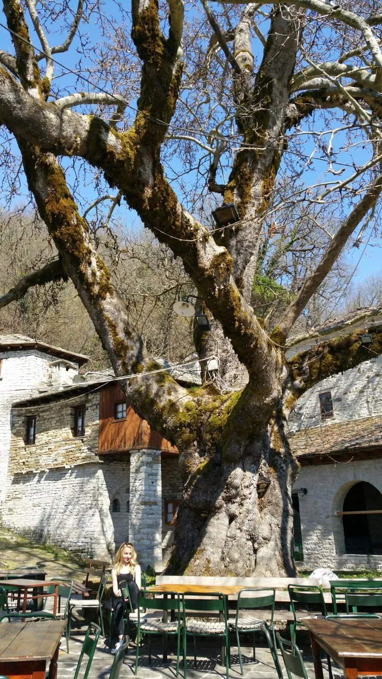Vikogiatros