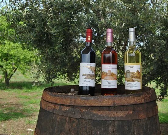 Cantine Marchisa