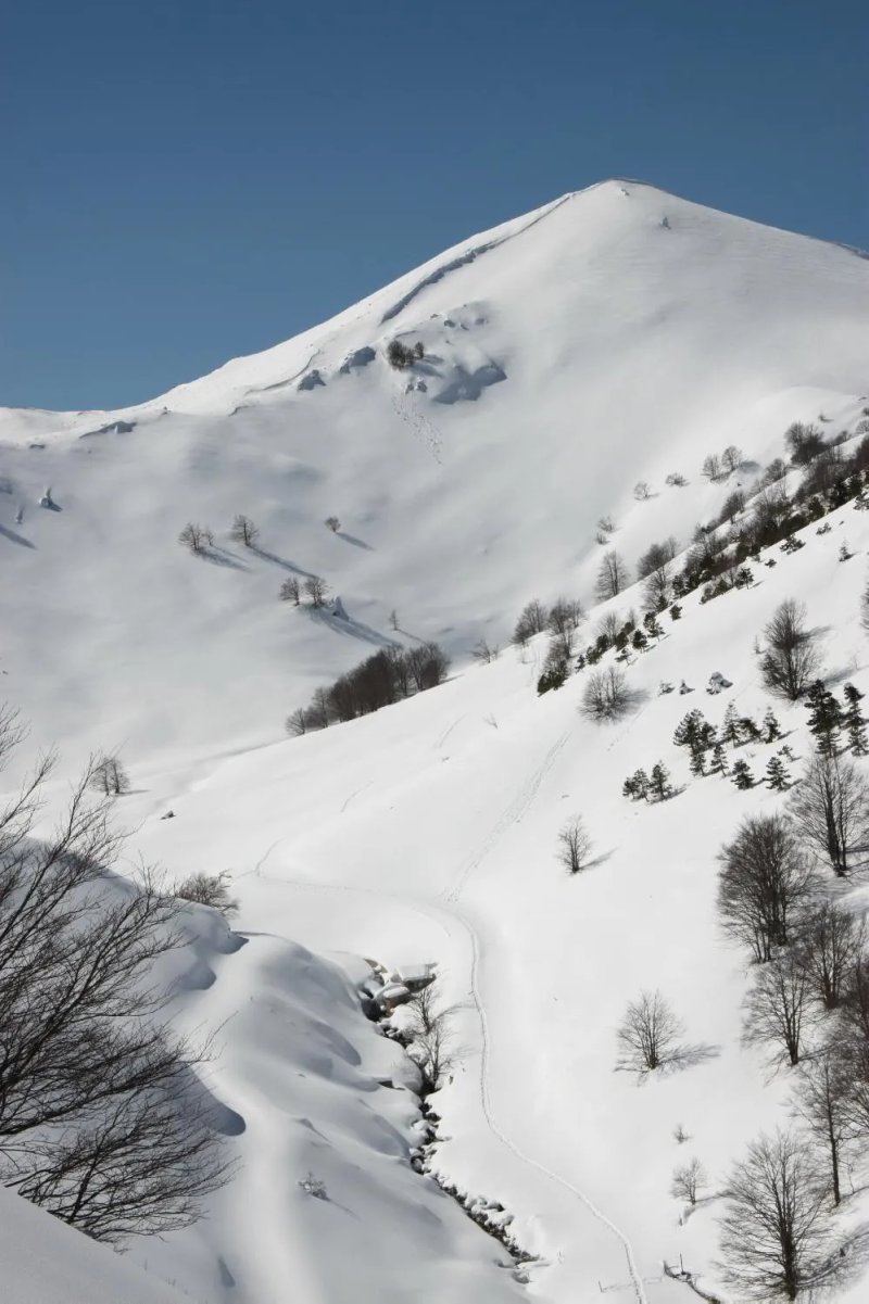 Club Hotel Lo Sciatore