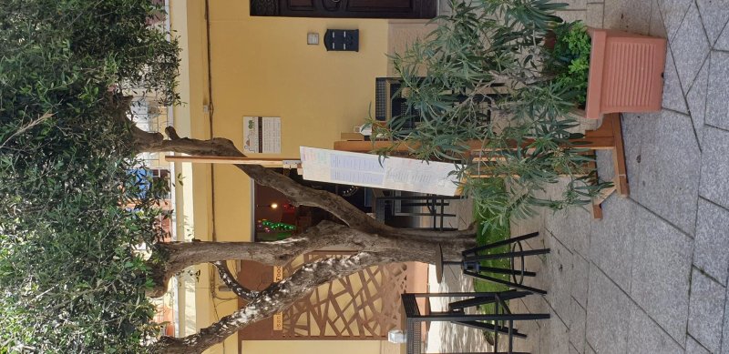 San Paolo Art&food