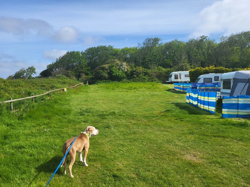 Warden Springs Caravan Park