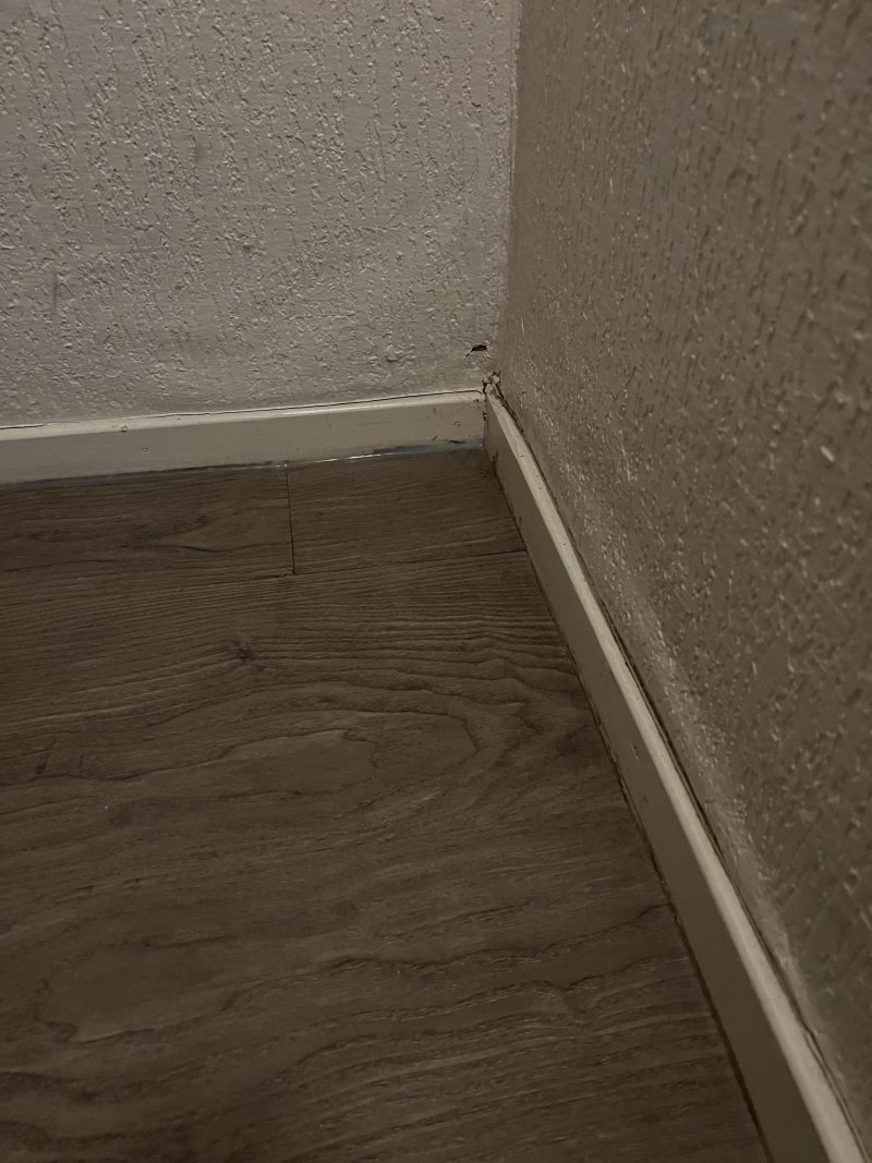 Het Hooge Holt