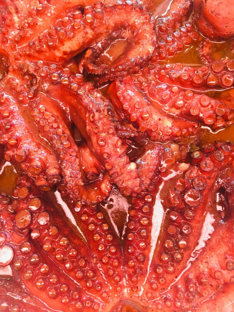 Estrella de Mar