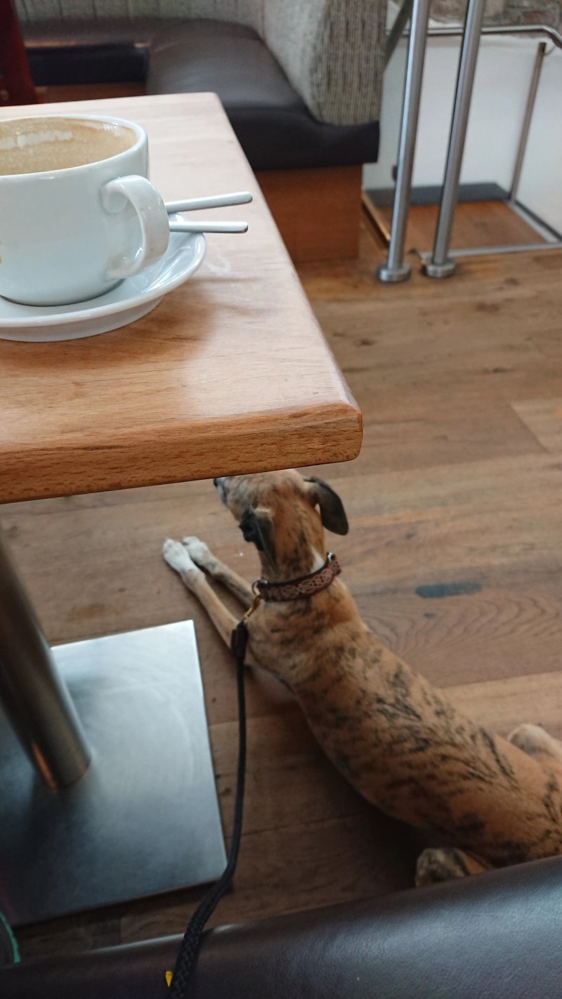 Cafe At Book-ish