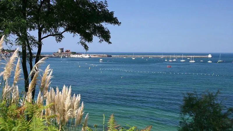 Very nice apartment on the ground floor in front of the swimming pool, with