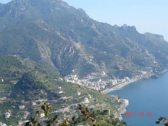Il Pinguino B&B