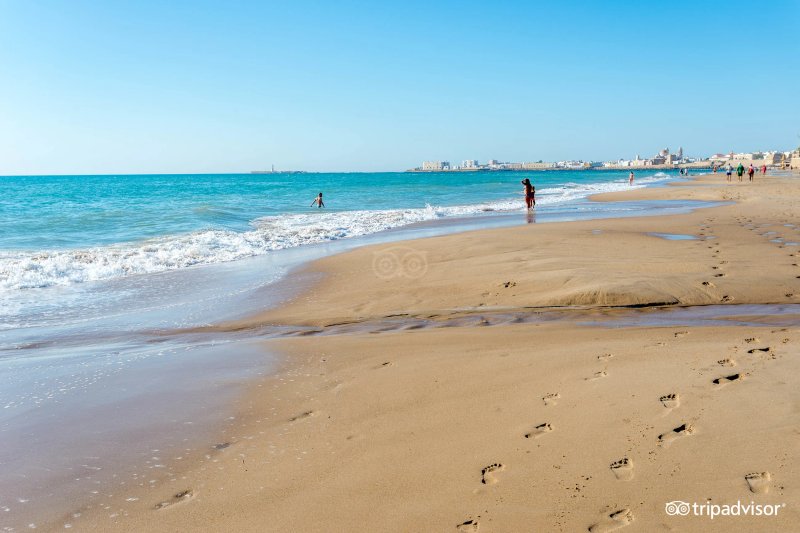 Occidental Cádiz