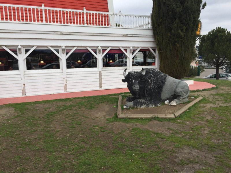 Buffalo Grill Cabries