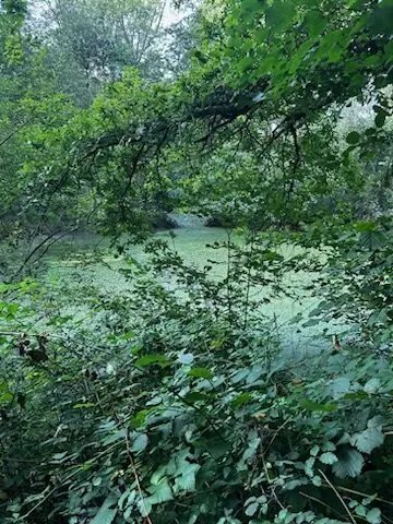 Rivendell Park