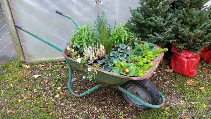 Twigs Nurseries and Coffee Shop