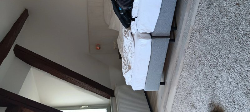 Hotel Elch