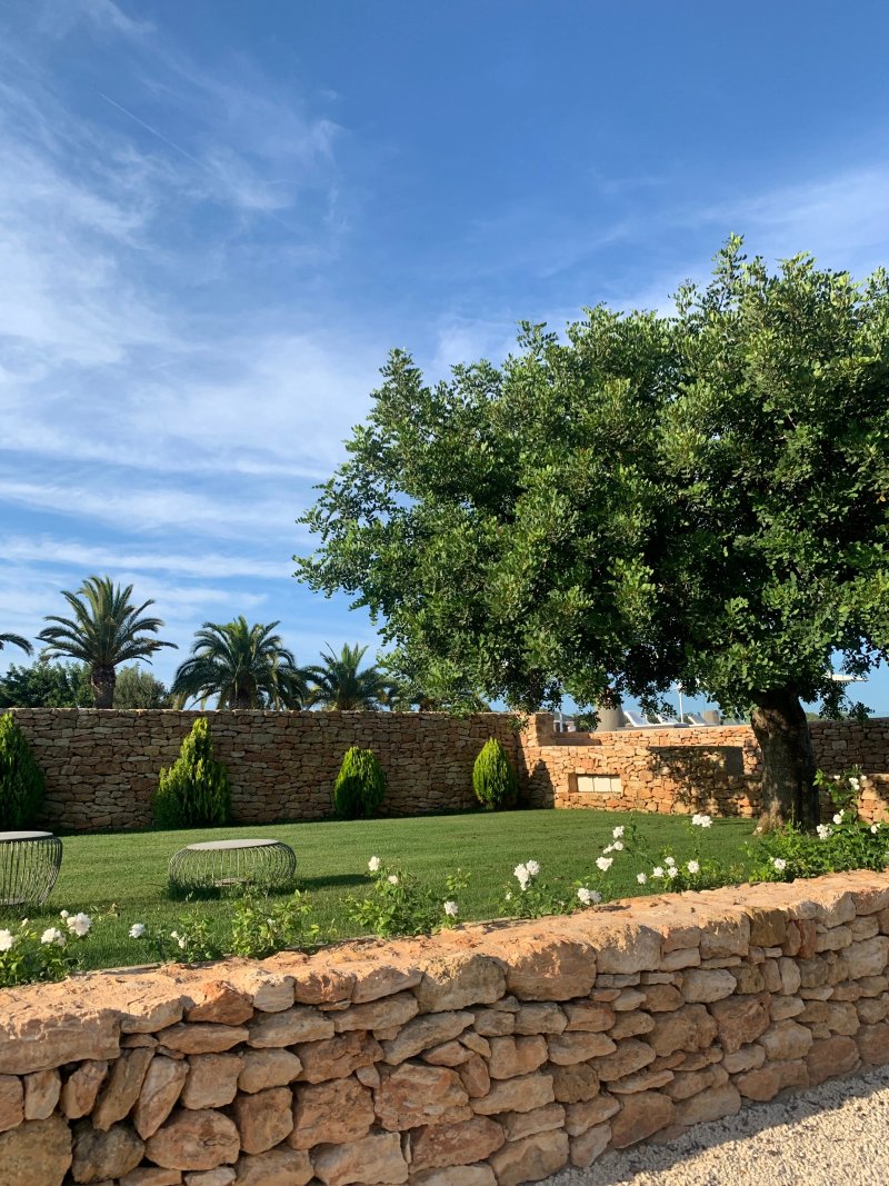 Safragell Ibiza Suites & Spa