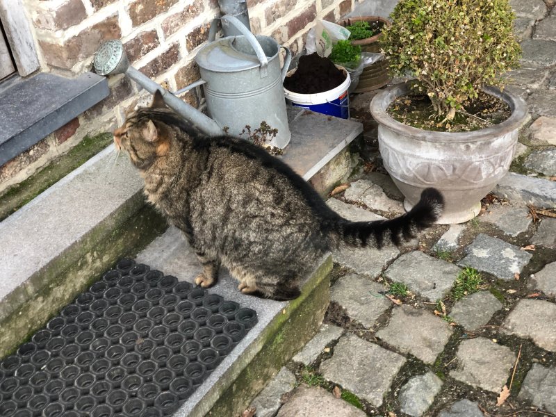 B&B Het Tweede Leven