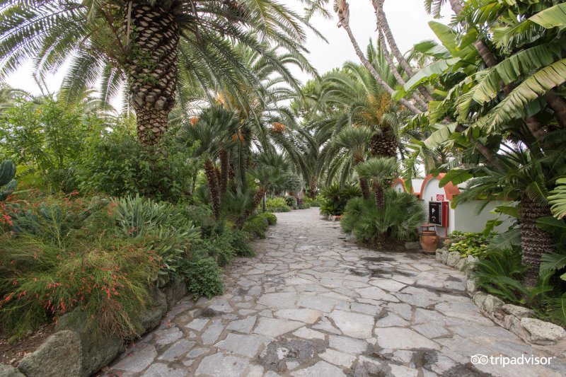 Park Hotel Terme Mediterraneo
