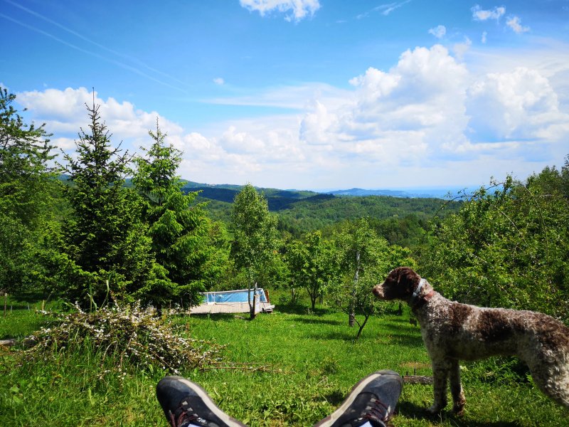 Rooms Lagotto's peak
