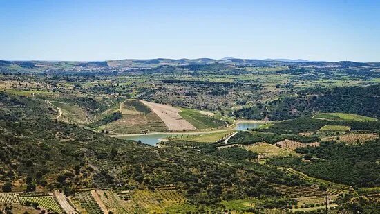 Quinta da Vineadouro - Family Vineyards & Wine Hotel