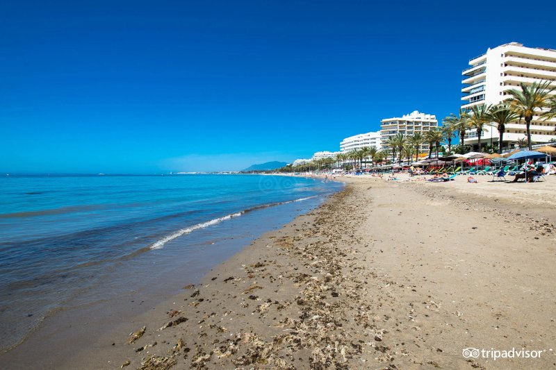 Puerto Azul Marbella