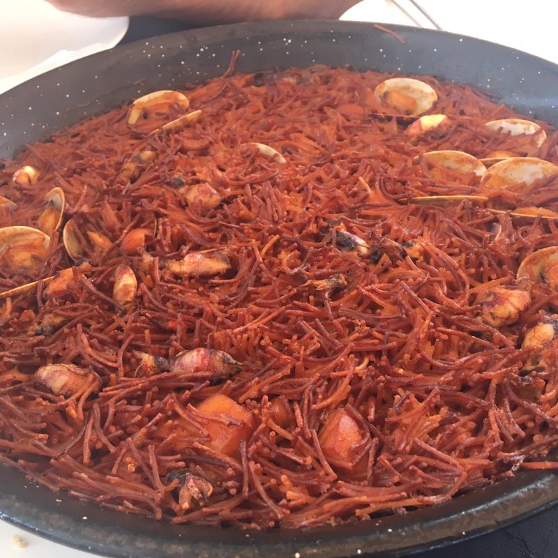 Llop de mar