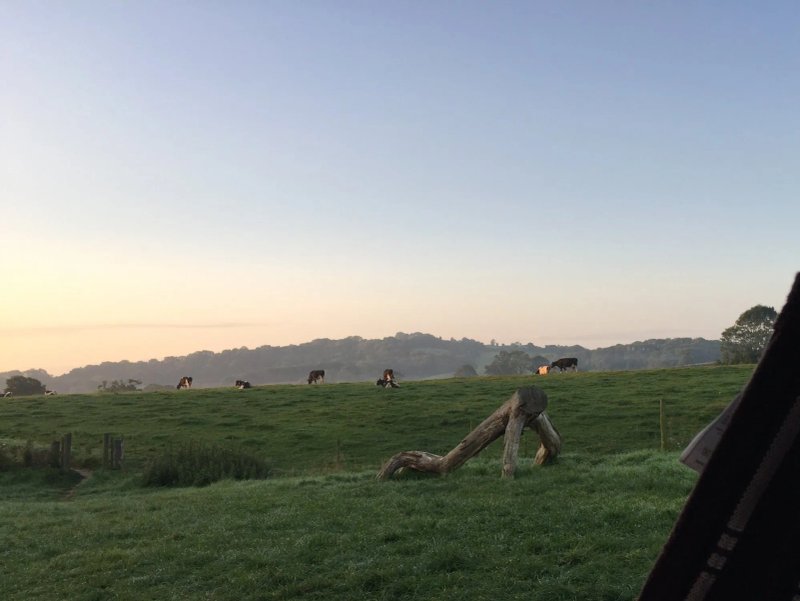 Aller Farm Glamping Holidays