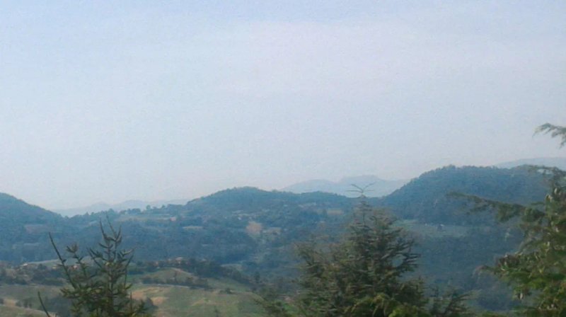 B&B L'Uva Fragolina