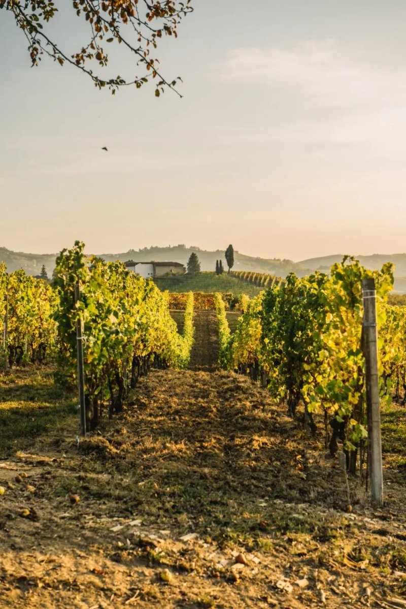 Agriturismo Cascina Longoria