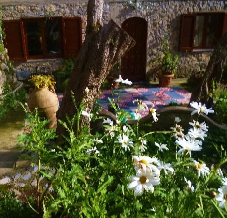 Villa Sofia Bed and Breakfast