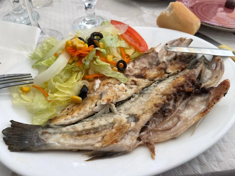Casa Koki
