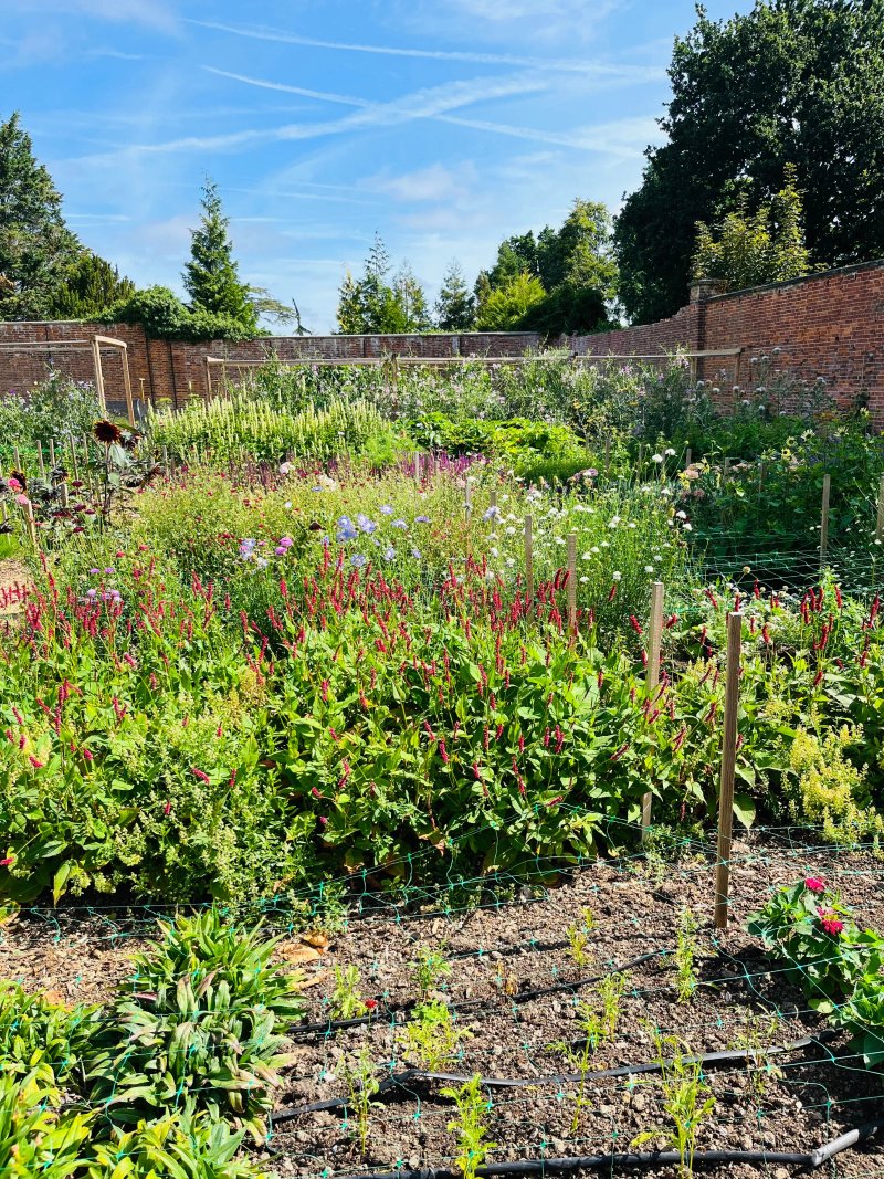 Water Lane Walled Garden