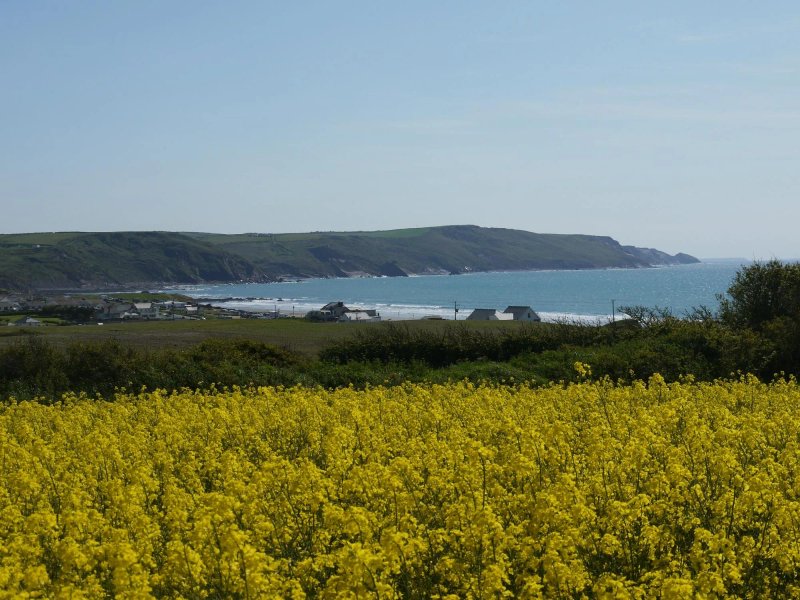 Whalesborough Holiday Cottages & Spa