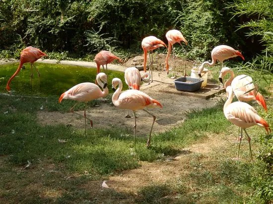 Tierpark