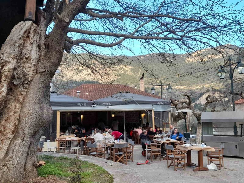 Oasis Traditional Tavern