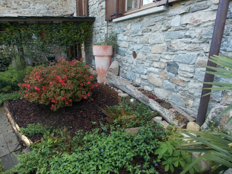 Agriturismo Azienda Agricola Ca' dla Pia