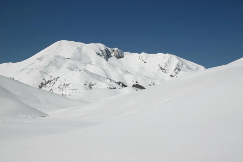 La Pinetina