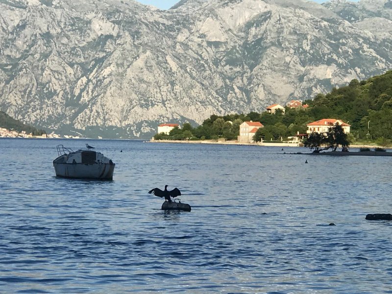 Tramontana