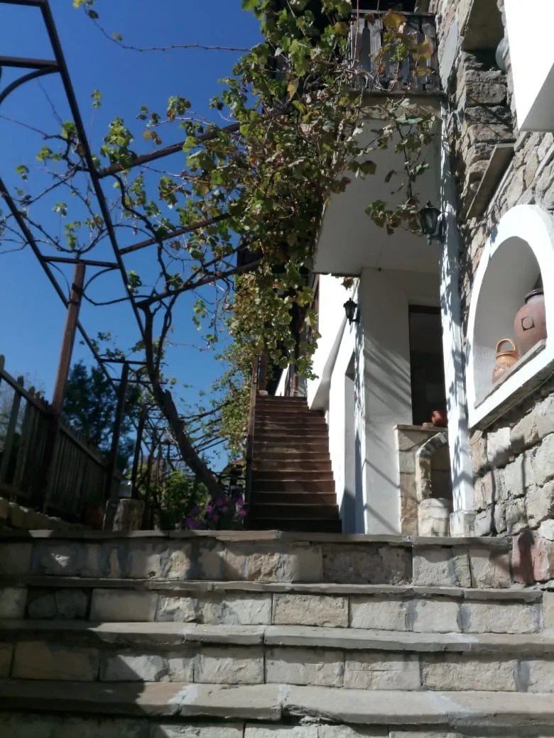 Hostel Mostel
