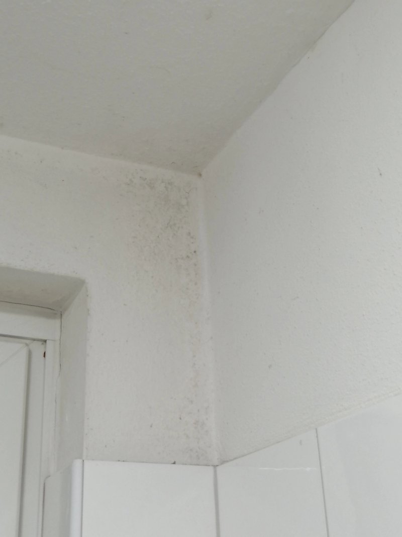 Lipmann am boll