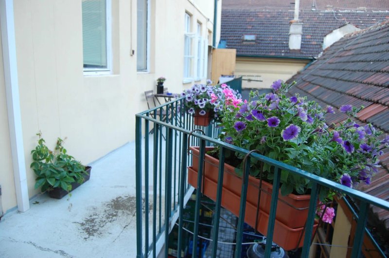 Hostel Fleda Brno