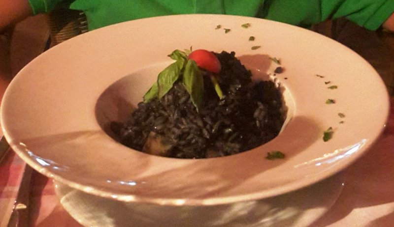 Papagaj