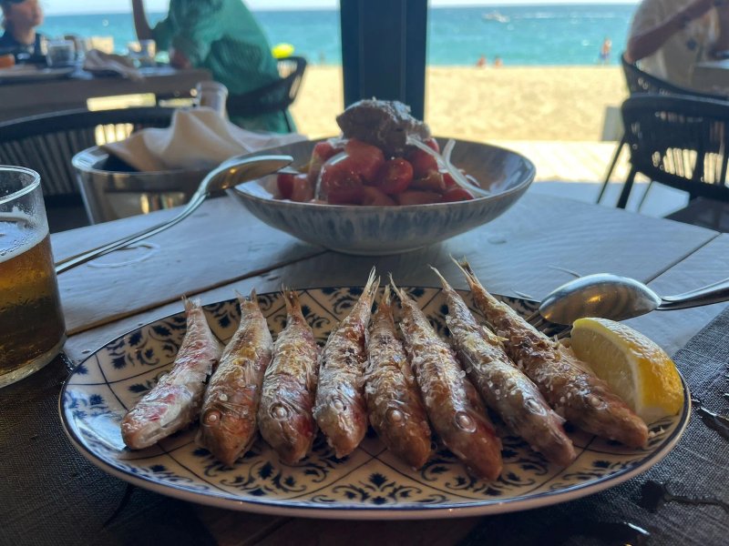 La Milla Marbella