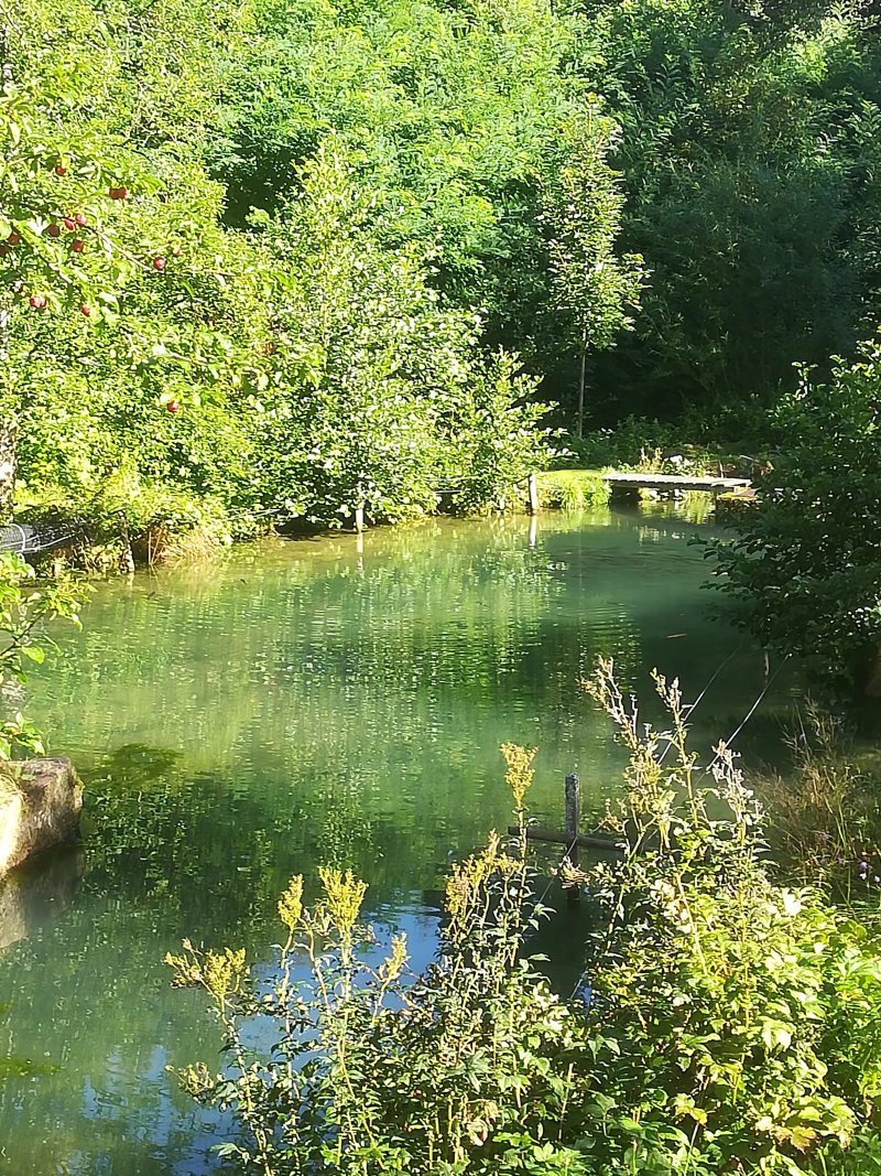 Hotel Gut Lauterbad