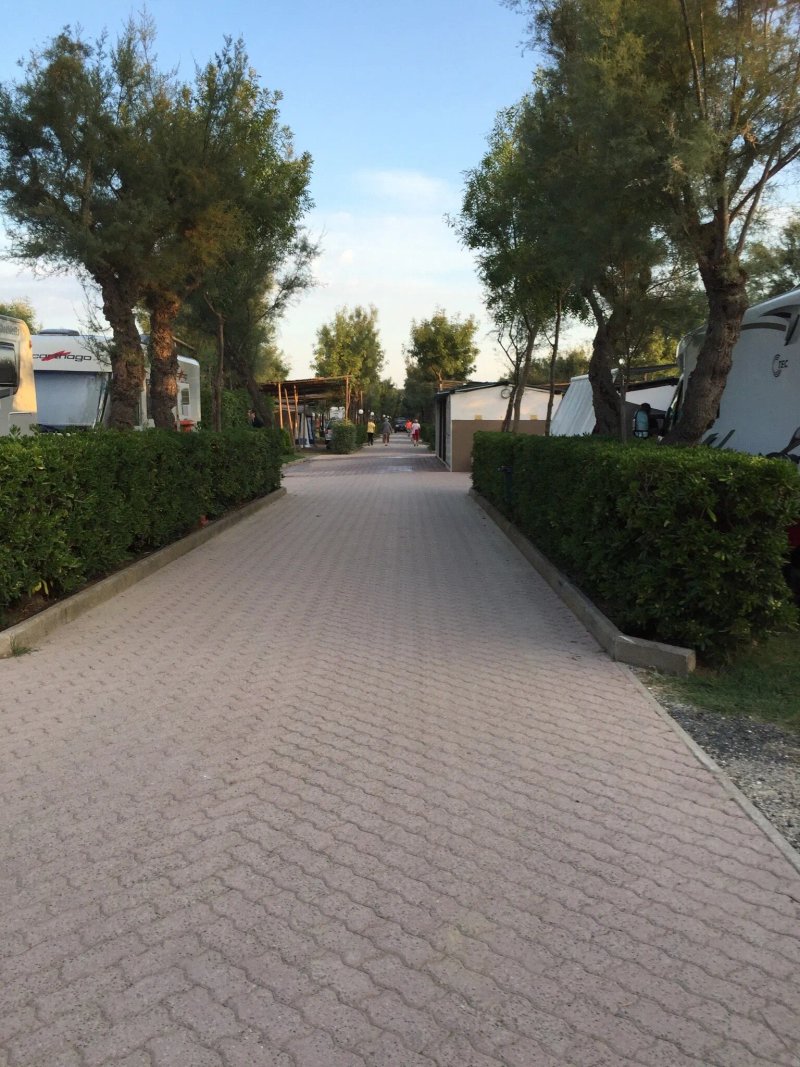Camping Tripesce