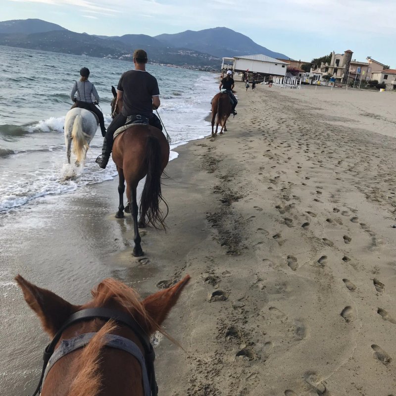 Agriturismo I Moresani