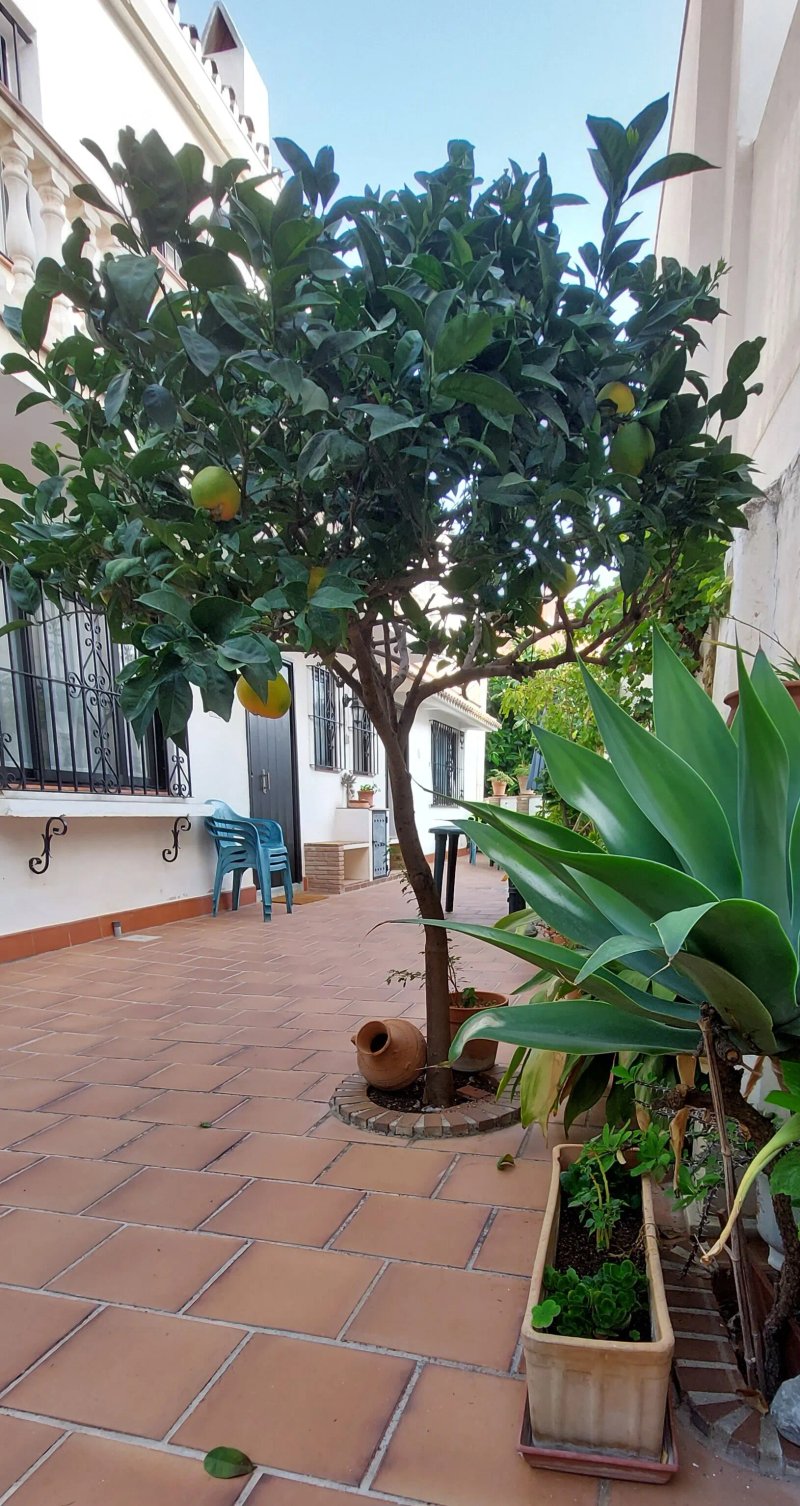 Casa Suecia
