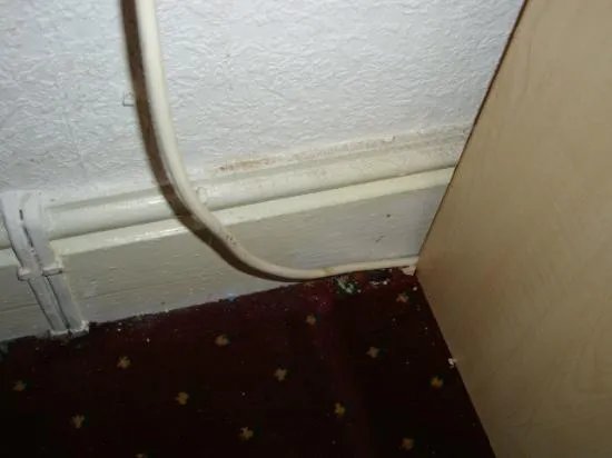 Park House Guest House