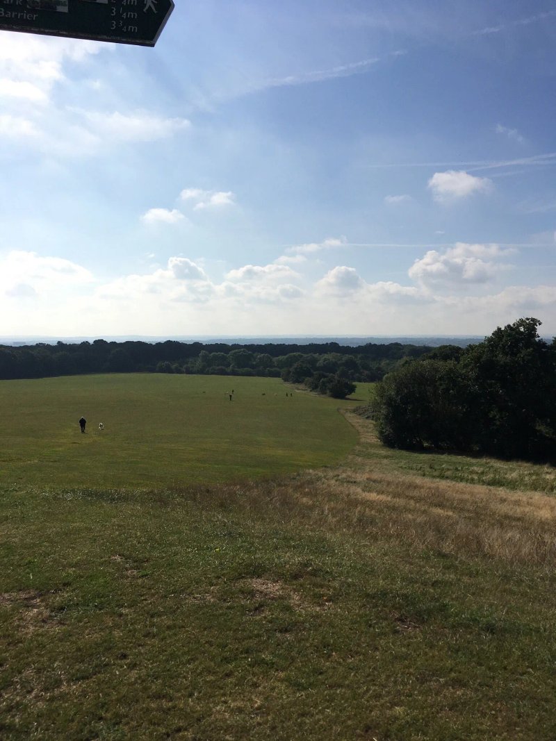 Oxleas Wood Cafe