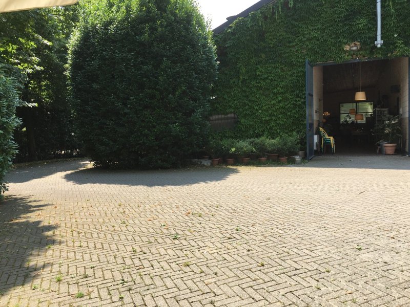 Agriturismo Buena Vista