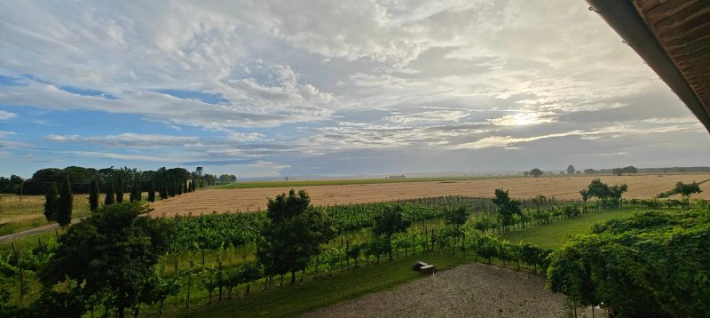 Cortona Resort - Le Terre dei Cavalieri