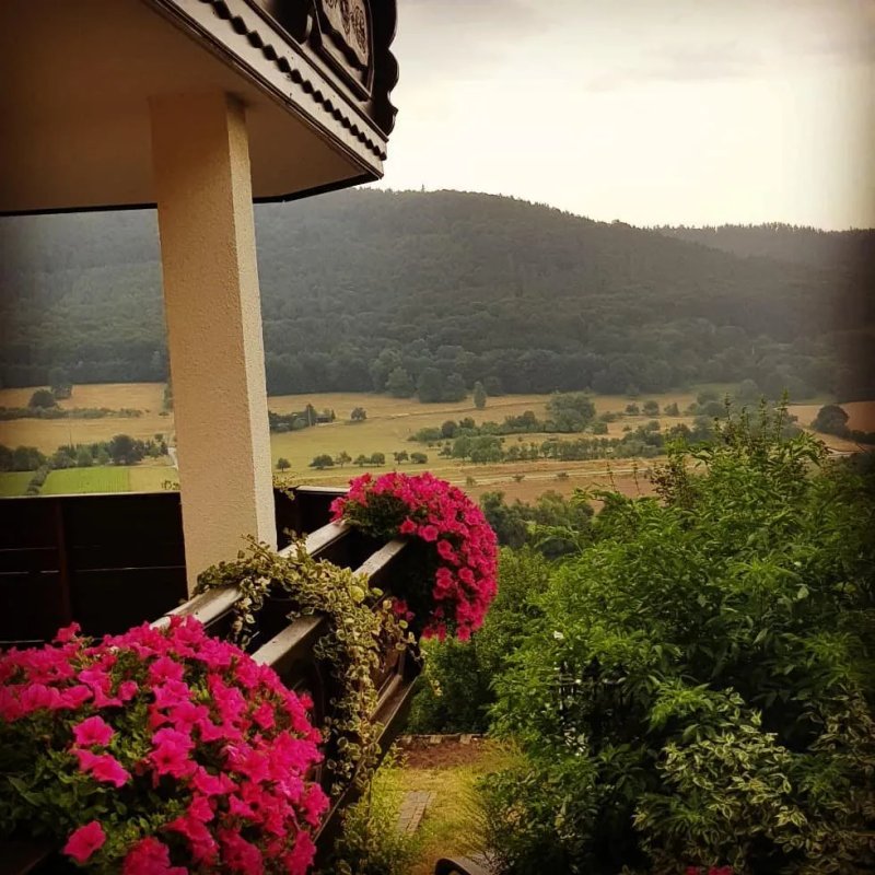 Pension Haus Erika